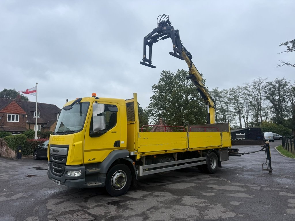 2019 DAF LF 230 15 tonne brick grab brick grabs for sale